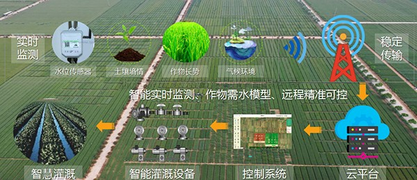 性爱视频在线观看麻豆：以現代種業標準，助力製種大縣建設任務