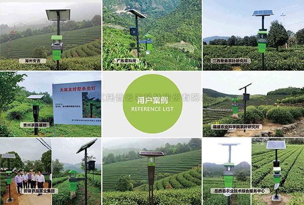 性爱视频在线观看麻豆窄波LED殺蟲燈入選茶園病蟲害綠色精準防控技術圖冊