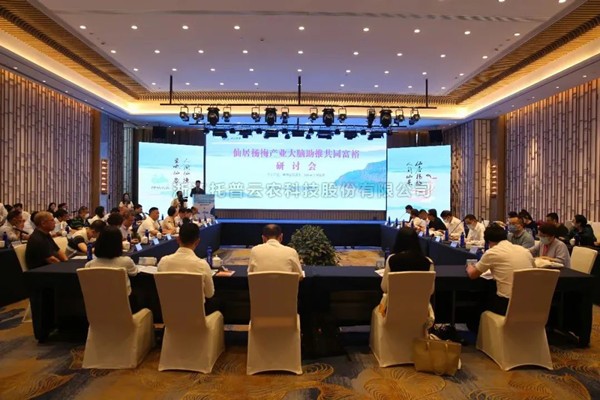 仙居楊梅：再登浙江衛視，以數字技術打造共同富裕示範“幸福果”