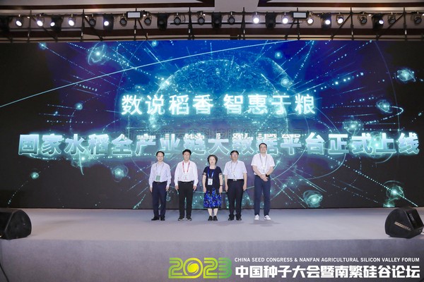 如何走穩中國“稻”路？科技賦能水稻全產業鏈發展