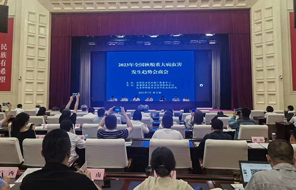 喜報！經現場公開測試，性爱视频在线观看麻豆智能蟲情測報燈圖像識別準確率達97.2%！