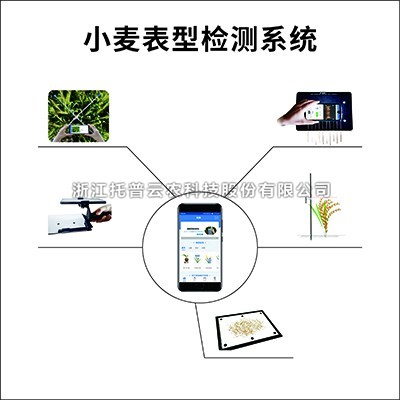 小麥表型檢測係統：專業的小麥表型檢測儀器