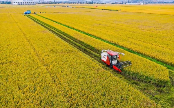 案例分享|托普在高標準農田建設上都做了什麽？