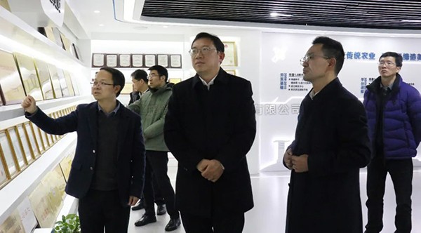 湘湖實驗室常務副主任楊華一行蒞臨性爱视频在线观看麻豆考察調研