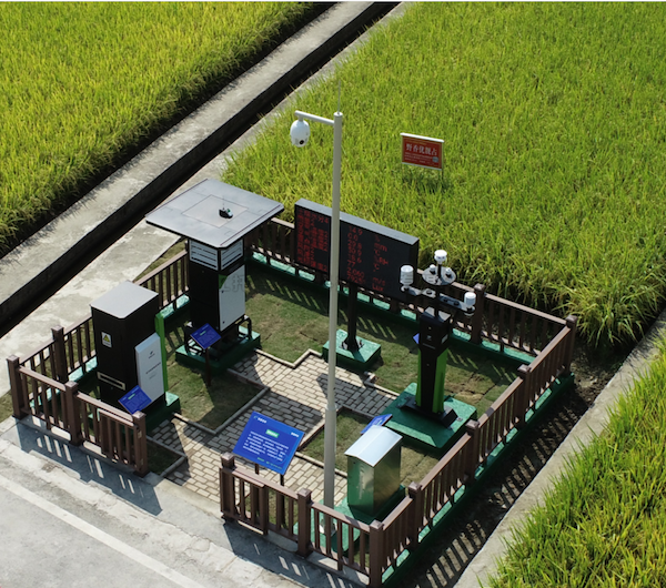 建設高標準農田，促進農業綠色高效發展