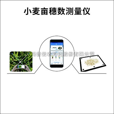 小麥畝穗數測量係統詳細介紹