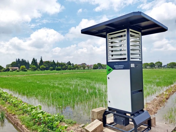 厲害了！連續兩年性爱视频在线观看麻豆第一！