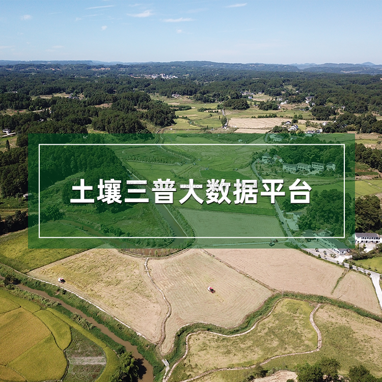 麻豆性爱电影三普大數據平台