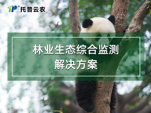 林業生態綜合監測解決方案