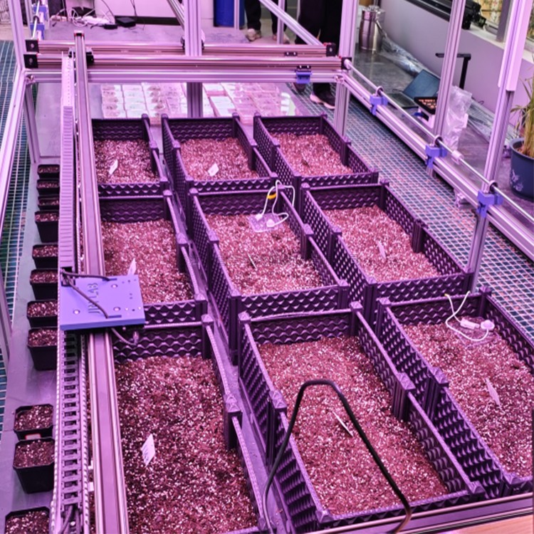人工氣候室植物表型監測係統TPN-PlantPhy