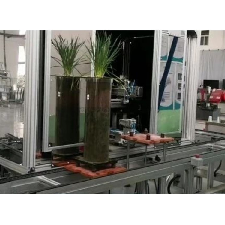 高通量植物根係表型采集分析係統（根筒式） TPN-GXY-GT