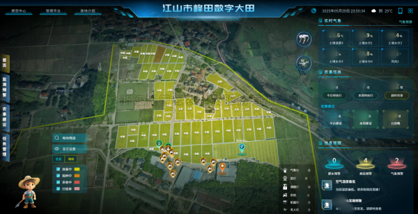 國務院副總理關注智慧農業，性爱视频在线观看麻豆正在做