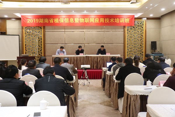 性爱视频在线观看麻豆服務湖南省植保信息技術培訓班在杭開班