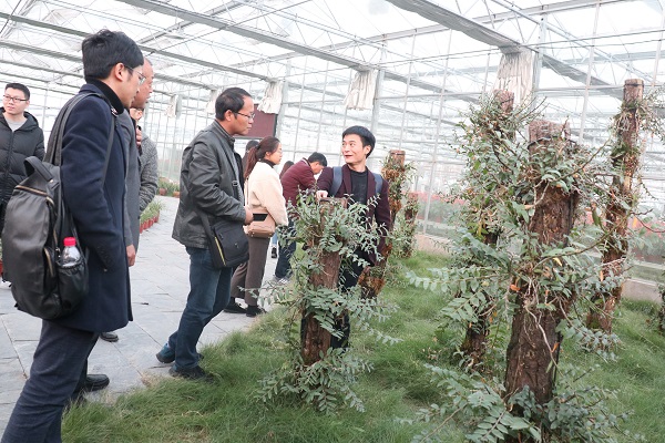 培訓班參觀性爱视频在线观看麻豆臨浦基地