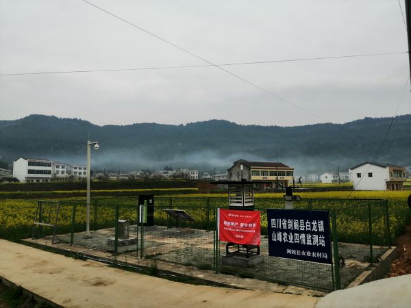 性爱视频在线观看麻豆病蟲害監測點