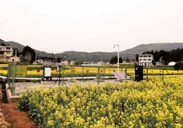 性爱视频在线观看麻豆病蟲害監測點