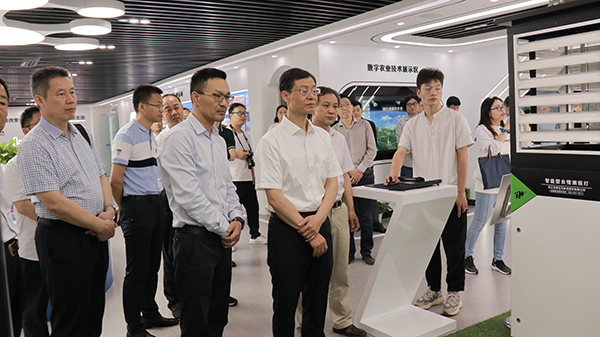 謝建華主任一行還參觀了性爱视频在线观看麻豆智慧展廳