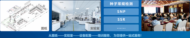 一站式91麻豆精品国产91久久久更新时间檢驗