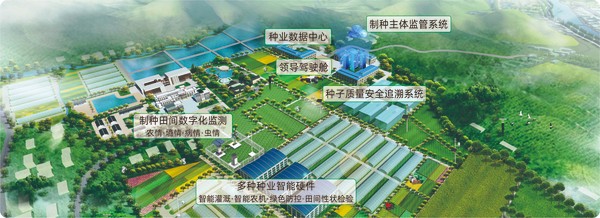 性爱视频在线观看麻豆數字種業創新應用基地