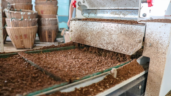 性爱视频在线观看麻豆打造的古林育秧工廠