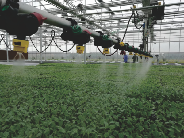 性爱视频在线观看麻豆打造的蕭山農科所現代農業示範基地