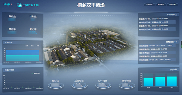 性爱视频在线观看麻豆打造的“生豬精密智管”社會化服務應用