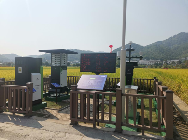 性爱视频在线观看麻豆農作物病蟲害監測點