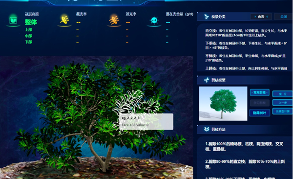 “雲”上種顆楊梅樹，農戶照著養楊梅