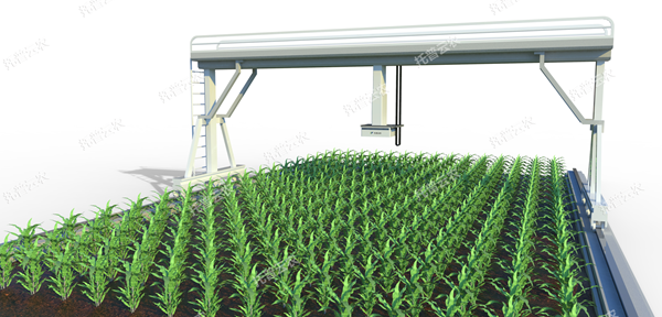 1722996913370814.png 田間軌道式高通量植物表型分析平台_副本.png