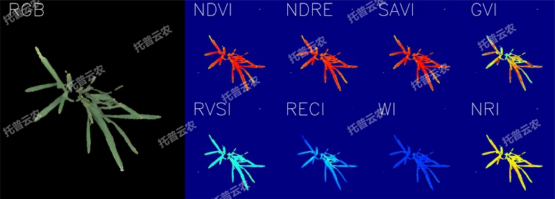 1723094686937236.jpg 高光譜圖_水稻冠層_800_副本.jpg