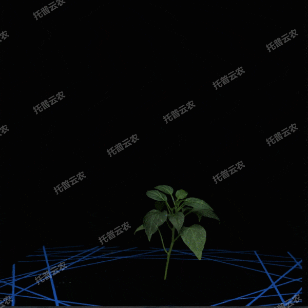 1723170559370679.gif 合成 3_8.gif