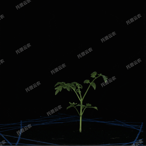 1723434800642713.gif 合成 3_12.gif