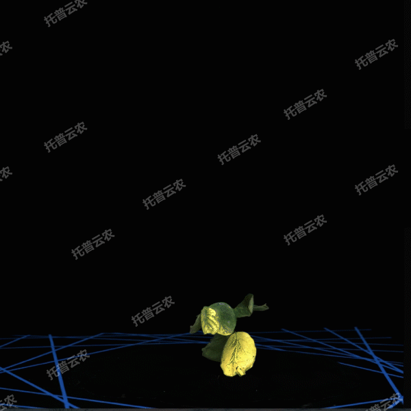 1723434897914368.gif 合成 3_7.gif