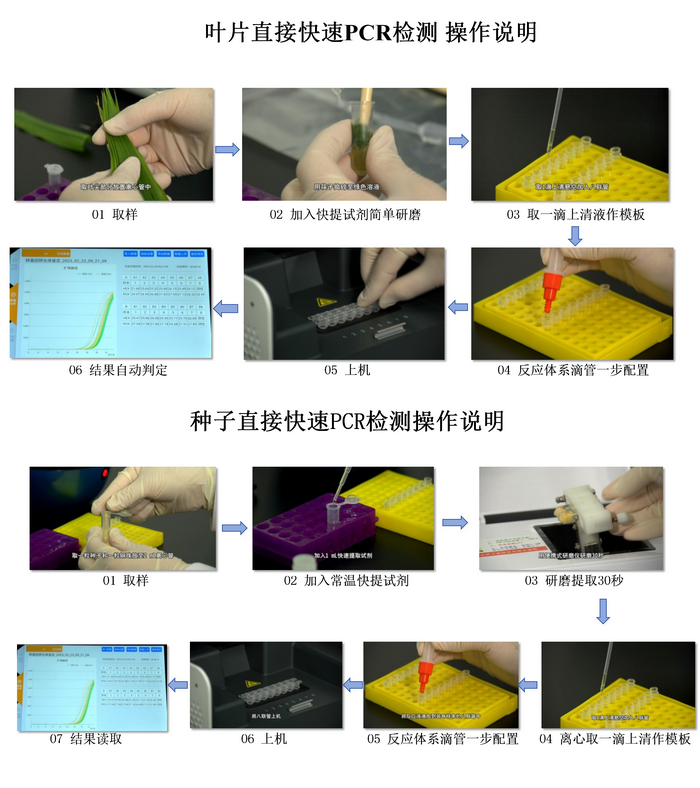 1729673206534306.png 正文-操作說明.png