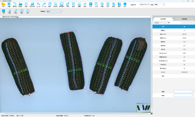 1739005541250332.png 5. 黑玉米果穗測定.png