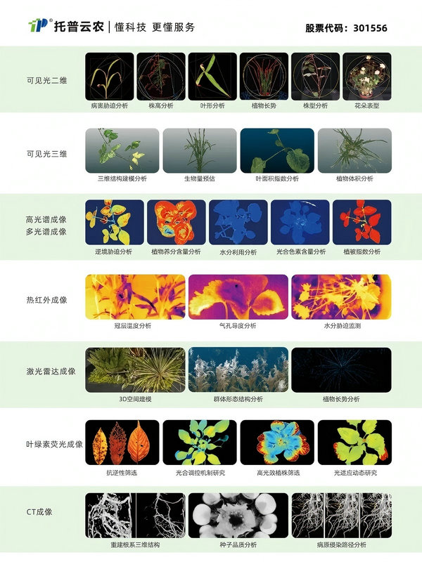 1747101827208369.jpg 6_副本.jpg