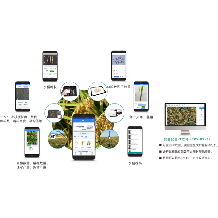 水稻表型檢測係統TPS-BX-2.png