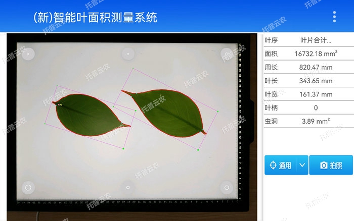 智能葉麵積測量係統YMJ-CHA3測量界麵圖.jpg