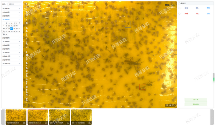 1757558874590136.png 智能識別 自動計數.png